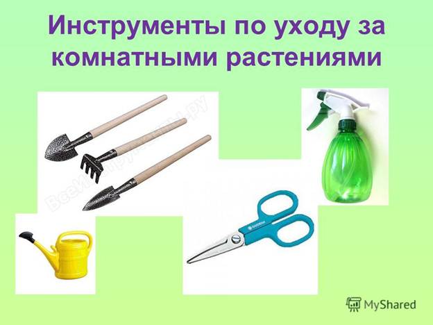 http://player.myshared.ru/6/783565/slides/slide_6.jpg